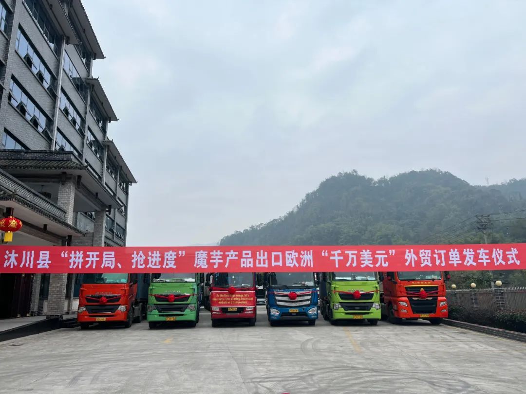 Konjac products exported to Europe ten million U.S. dollars in foreign trade orders shipping ceremony was held successfully